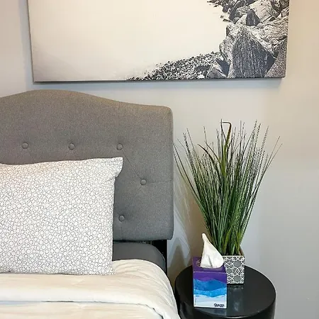 Apartment Wrigleyville Friends Unit - 5bdrm