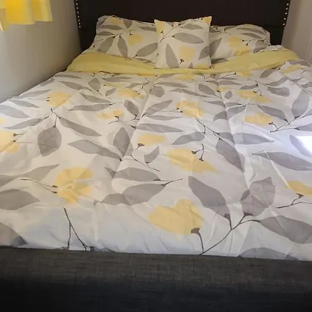Apartment Cozy 1 Bedroom, 1 Min From Irving Park Blue Line, Free Parking