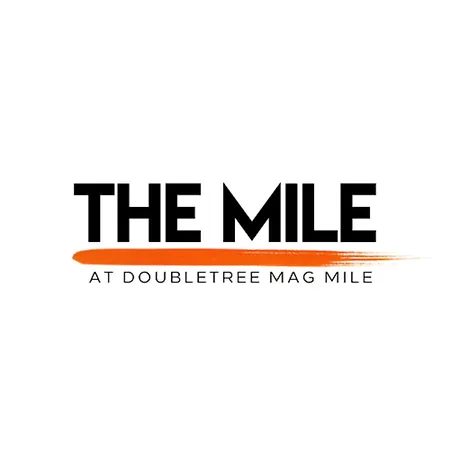 Hotel Doubletree By Hilton Magnificent Mile 4*
