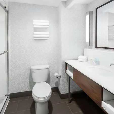 Hampton & Chicago-downtown 3*
