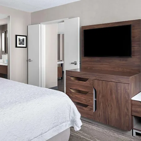 Hampton & Chicago-downtown 3*