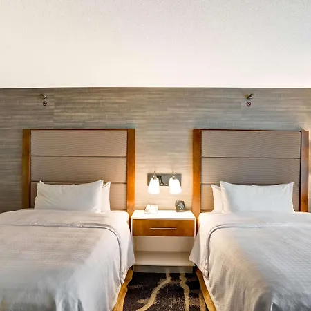 Homewood By Hilton Chicago-downtown 3*