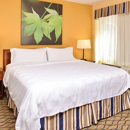 & Chicago-downtown By Ihg Hotel 3*