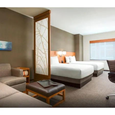 Hotel Hyatt Place Chicago/downtown - The Loop 3*