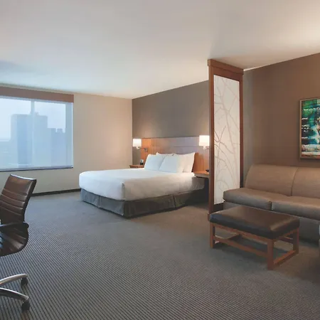 Hyatt Place Chicago-south/university Medical Center Hotel Chicago