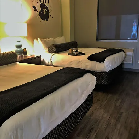 Acme Chicago, Outset Collection By Hilton 4*