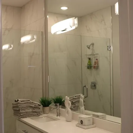 Exquisite Haven 2bed 2bath Near Downtown And United Center Apartment Chicago