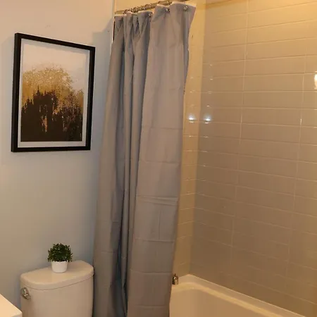 Exquisite Haven 2bed 2bath Near Downtown And United Center Apartment