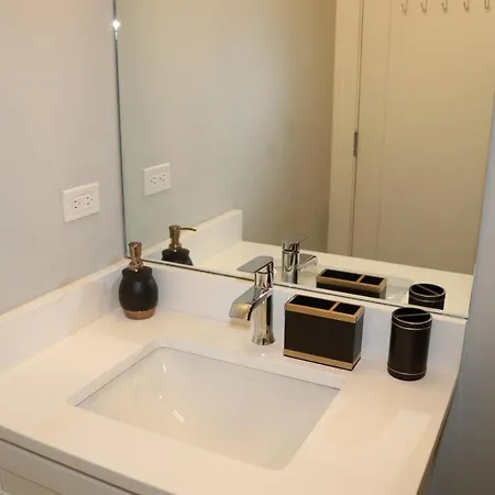 Exquisite Haven 2bed 2bath Near Downtown And United Center * Chicago