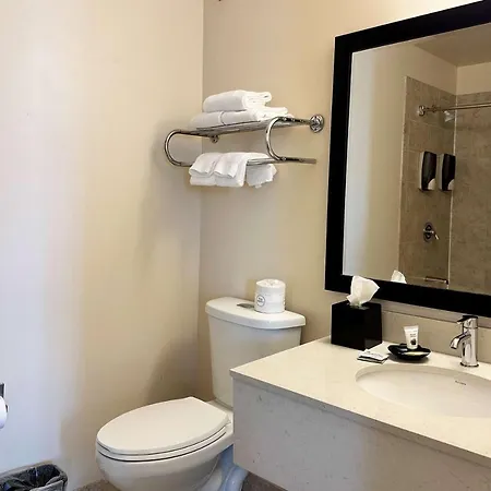 South Loop Hotel