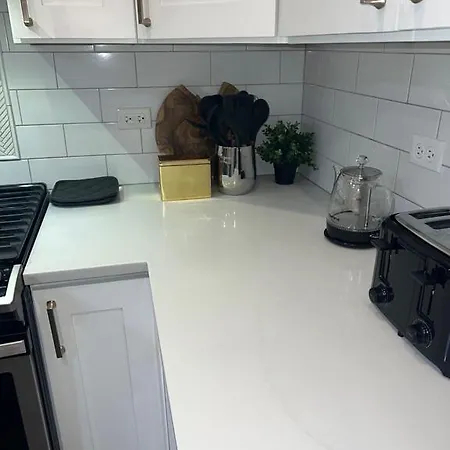 Brand New Close To Downtown Chicago