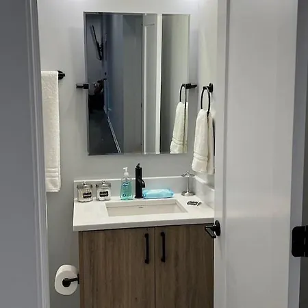 Brand New Close To Downtown Apartment *