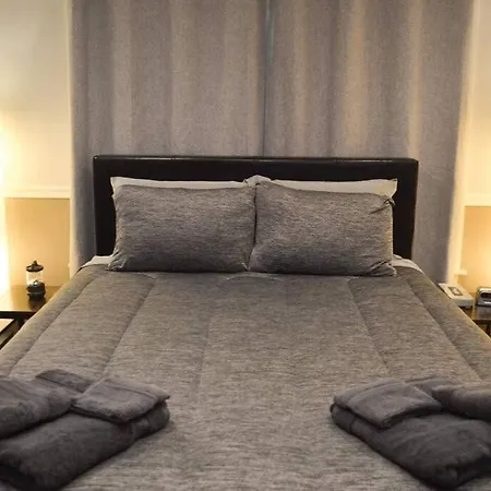 Apartment Homey Studio Near Wrigley Field *