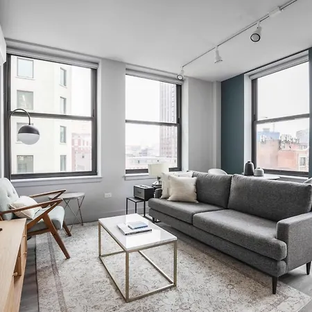 Loop 1br Wgym Roofdeck Wd Nr W Loop The L Chi-200 Apartment *