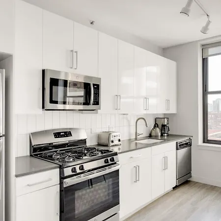 Loop 1br W Roof Deck Gym Nr Michigan Avenue Chi-193 Apartment *