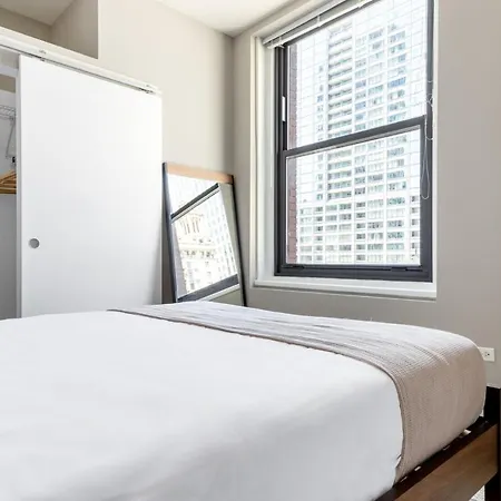 Loop 1br W Gym Roof Nr Riverwalk The L Chi-310 Apartment