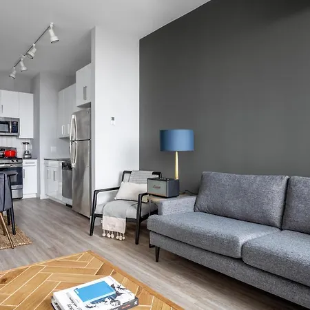 Loop 1br W Deck Gym Wd Nr W Loop The L Chi-220 Apartment