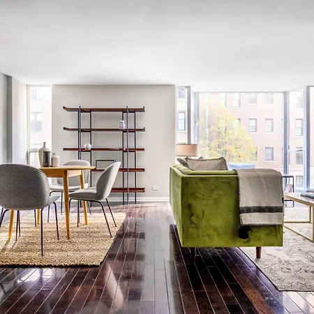 Streeterville 2br Nr Cta Lakefront Trail Chi-340 Apartment Chicago