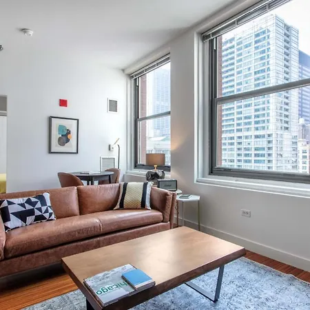 Loop 1br W Gym Wd Nr Millennium Park Chi-131 Chicago