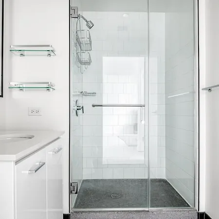W Loop Studio W Gym Pool Coworking Nr Uic Chi-439 Chicago