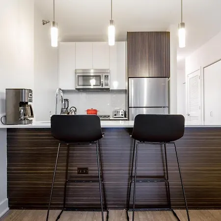 Loop 1br W Gym Pool Wd Nr Millennium Park Chi-237 * Chicago