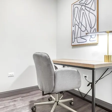 Loop 1br W Gym Wd Nr L Millennium Park Chi-471 Chicago