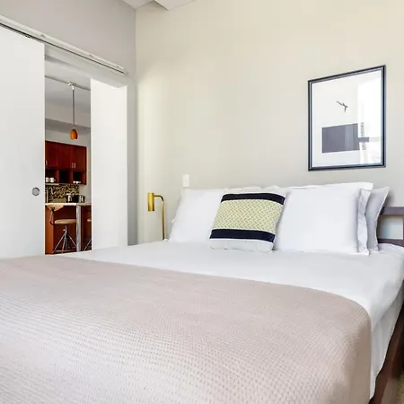 Apartment Loop 1br W Gym Roof Nr Riverwalk The L Chi-310 Chicago