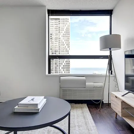 Streeterville 1br W Gym Pool Nr Navy Pier Chi-449 Chicago