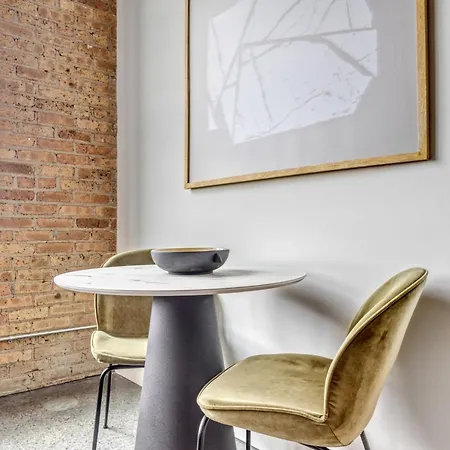 Lincoln Park 1br W Lounge Roof Gym Nr Depaul Chi-567 Apartment Chicago