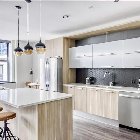 Loop 1br W Gym Wd Nr L Millennium Park Chi-471 Apartment