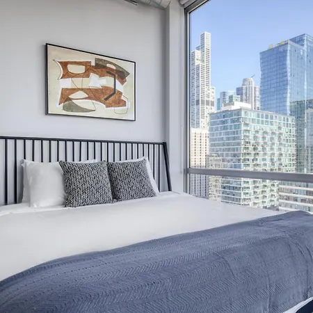 South Loop 2br W Gym Roof Nr Grant Park Chi-771 Chicago