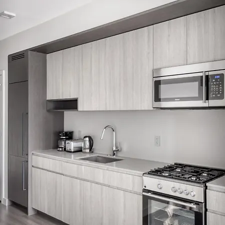 South Loop W Pool Bbq Gym Nr Grant Park Chi-775 *