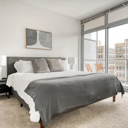 South Loop 1br W Gym Lounge Nr Grant Park Chi-850 Apartment *