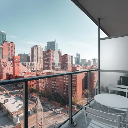 South Loop 1br W Gym Lounge Nr Grant Park Chi-846 Apartment