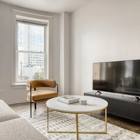 South Loop 2br Nr L Grant Park Chi-808 Apartment