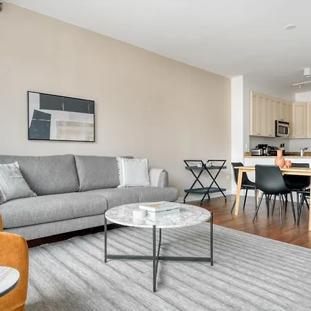 South Loop 1br W Gym Lounge Nr Grant Park Chi-850 Apartment