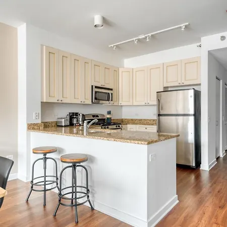 South Loop 1br W Gym Lounge Nr Grant Park Chi-850 *