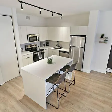 Upscale 1br With Sleek Kitchen & In-unit Laundry- Chestnut 15b Chicago