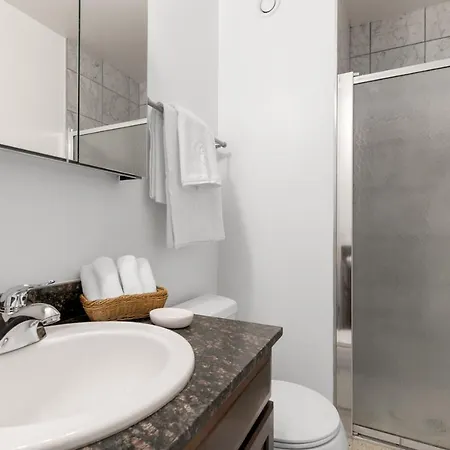 Apartment Gold Coast 2br W Gym Pool Nr Oak St Chi-207 Chicago
