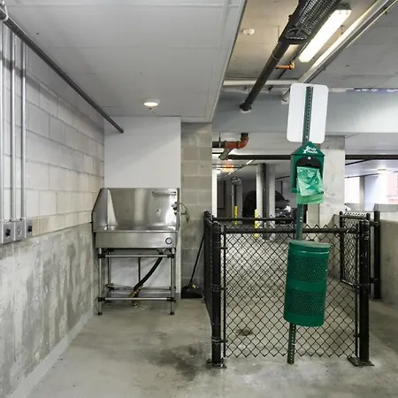 W Loop W Gym Pool In Heart Of Greektown Chi-539 Apartment Chicago