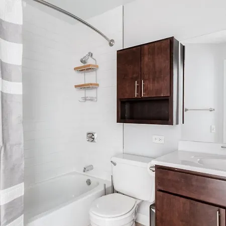 Gold Coast 1br W Gym Lounge 1 Block From L Chi-543 Apartment *