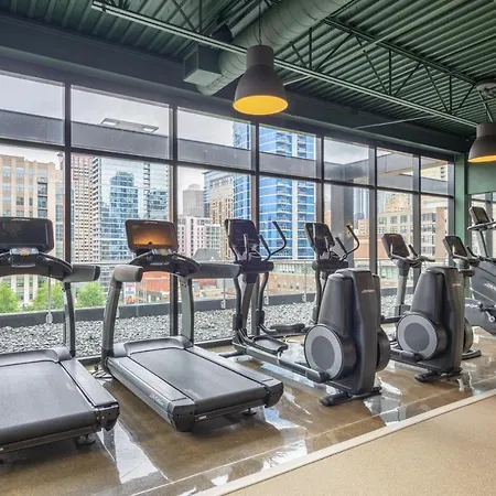 River N 1br W Gym Rooftop Nr L Parks Chi-321 Apartment