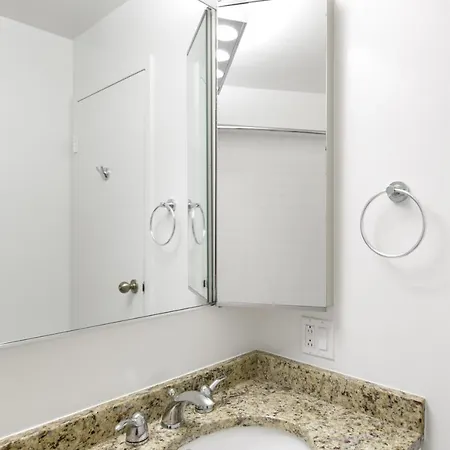 River N 1br W Gym Wd Nr Mag Mile Chi-86 Chicago