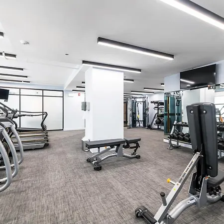Loop 1br W Roof Deck Gym Nr Michigan Avenue Chi-193 Apartment Chicago