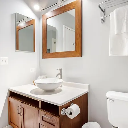 Loop 1br W Gym Roof Nr Riverwalk The L Chi-310 Chicago