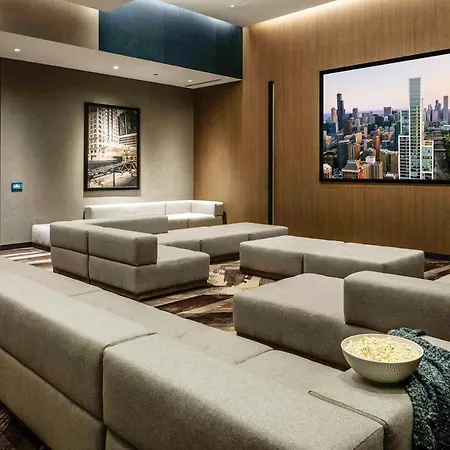 S Loop 1br W Pool Gym Nr Grant Park Chi-741 Chicago