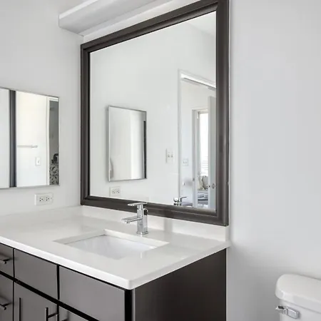 South Loop 2br W Gym Roof Nr Grant Park Chi-771 Apartment Chicago