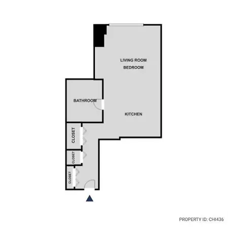 Apartment Streeterville Studio W Gym Pool Nr Navy Pier Chi-436 Chicago