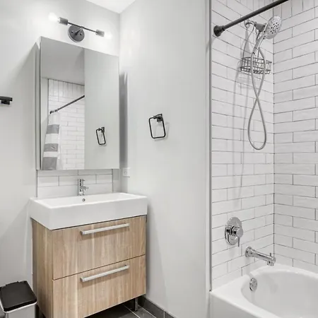 Apartment Loop Studio W Gym Wd Nr L Millennium Park Chi-469