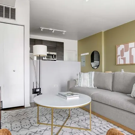 South Loop 1br Nr L Grant Park Chi-806 Apartment *